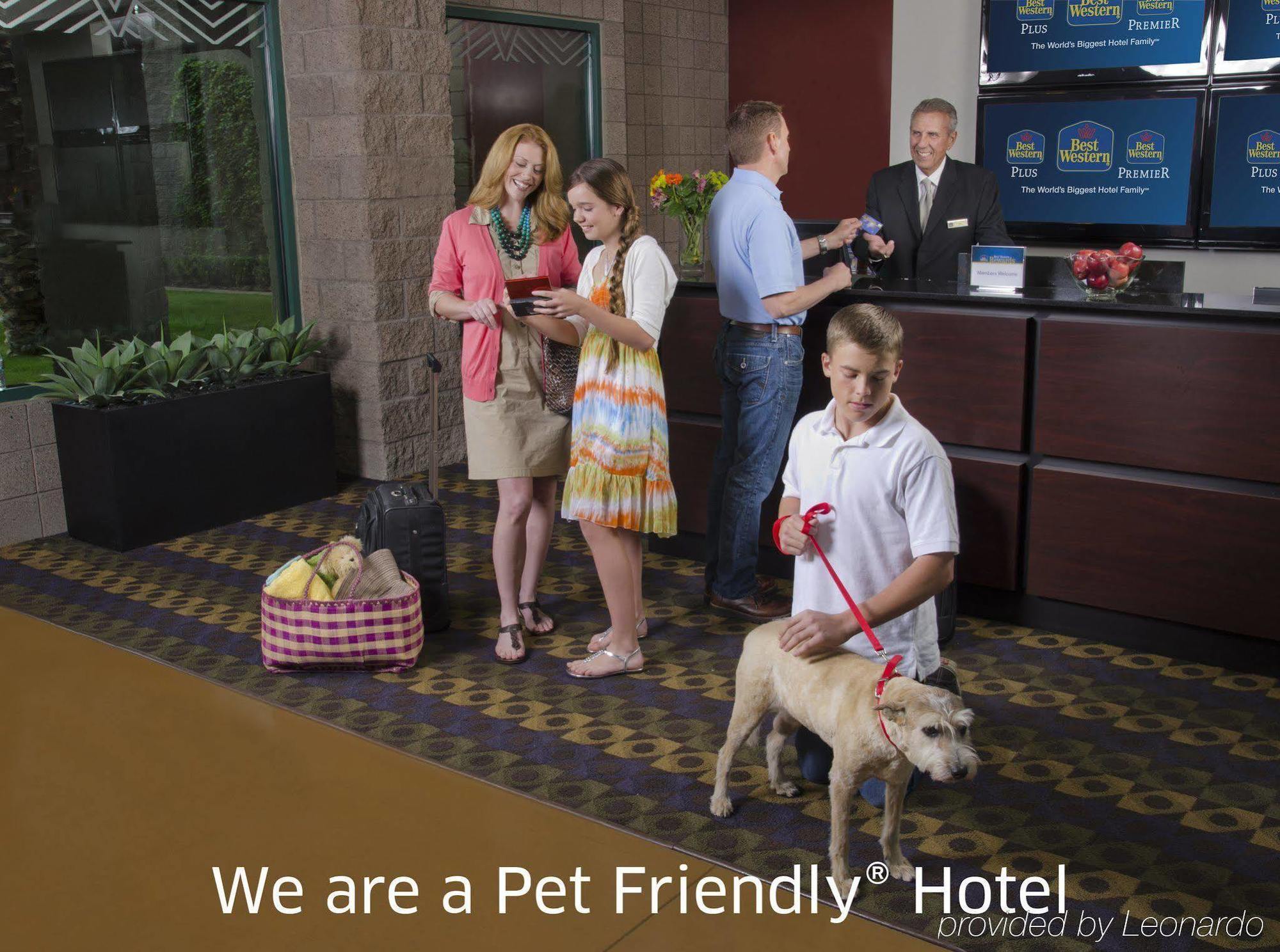 Best Western Plus Durham Hotel & Conference Centre Ошауа Екстериор снимка